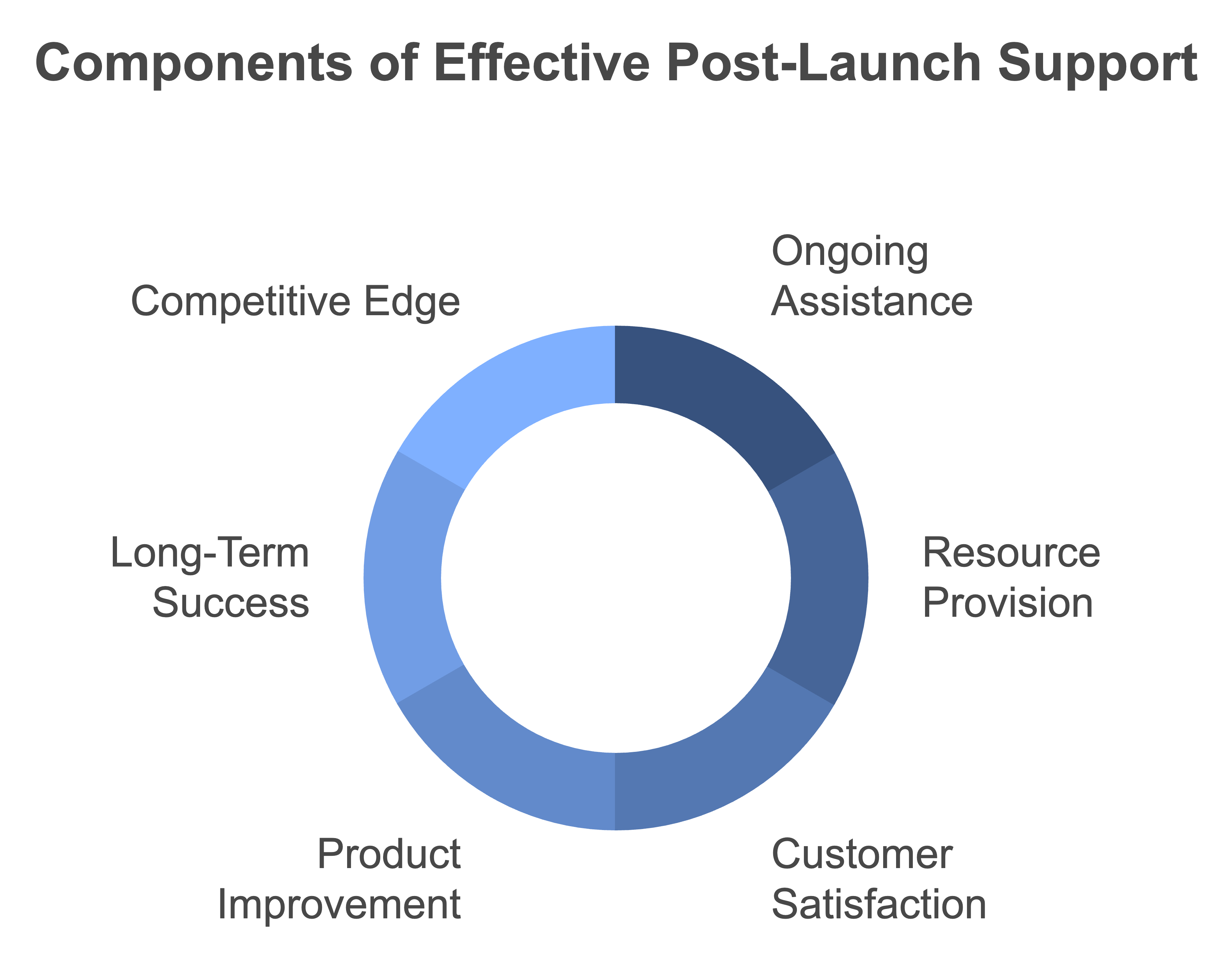 post launch support