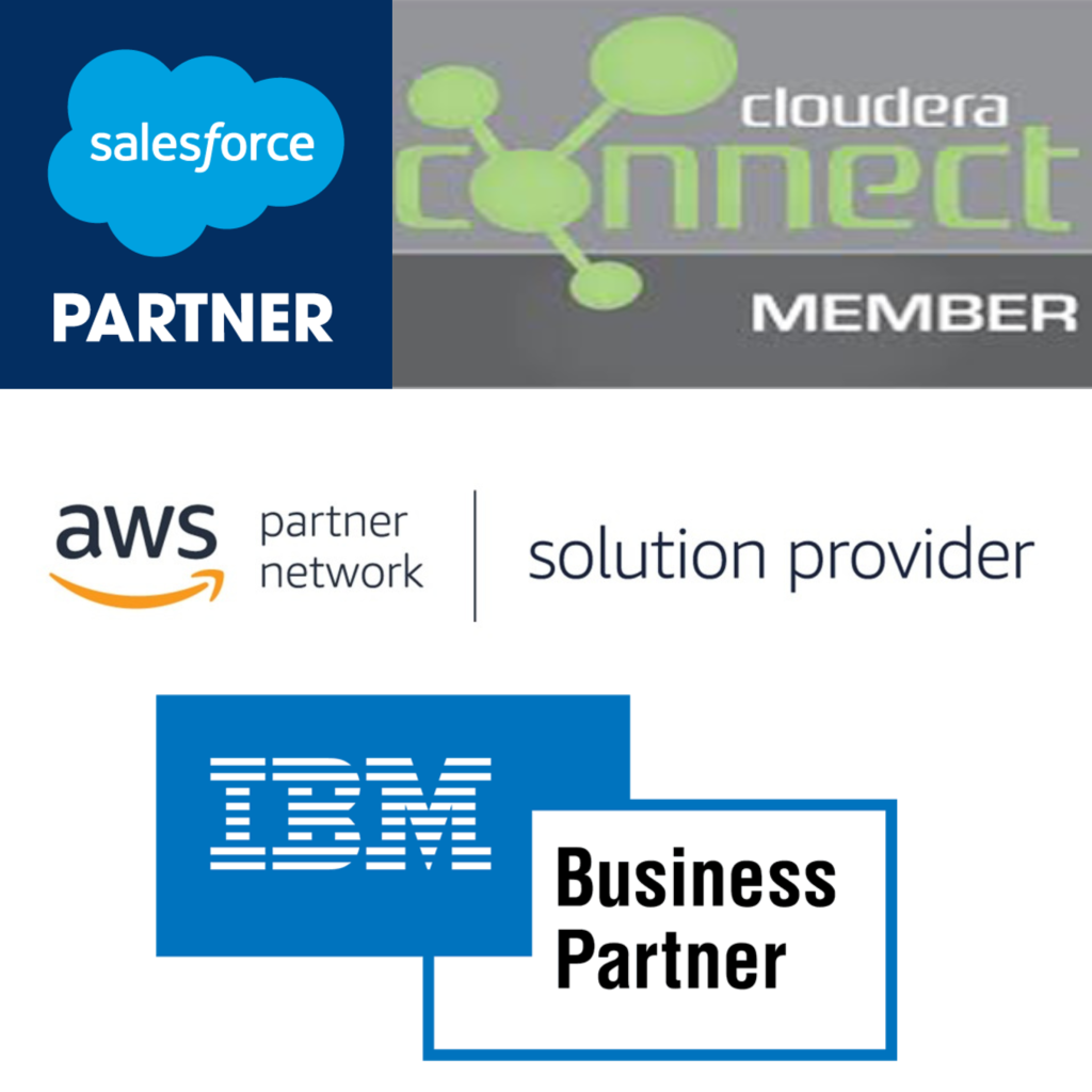 mclansys solutions partners